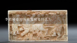 李君妹壶的历史发展是什么?